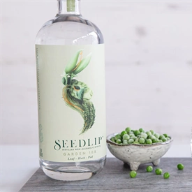 Fever-Tree Dry January