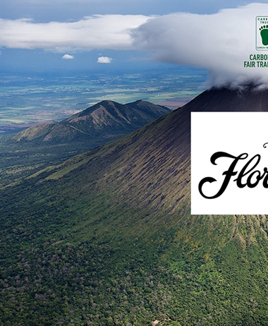 Flor de Caña e un milione di alberi entro il 2025