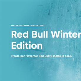 Redbull Winter Edition 2024